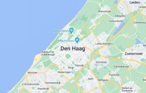 Keuren blusser Den Haag